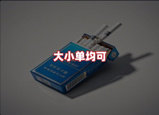 专业团队